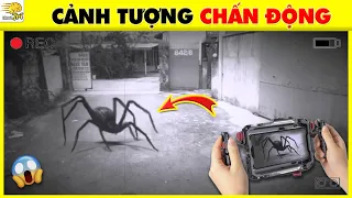 💧Nhanh Trí Tổng Hợp 35 Câu Đố Ma Và Hiện Tượng Bí Ẩn Nhất Chỉ Có Trong Tháng 3 Này