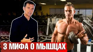 Что нельзя есть при наборе мышечной массы? 3 МИФА, о которых вы не знали 🏋️‍♀️