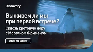 Выживем ли мы при первой встрече? | Сквозь кротовую нору с Морганом Фрименом | Discovery