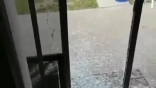 Dog breaks glass door