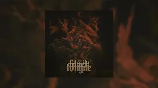 BLACK TONGUE - NADIR [FULL ALBUM & LYRICS]