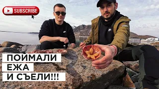 ПОЙМАЛИ МОРСКОГО ЕЖА И СЬЕЛИ!ДЕГУСТАЦИЯ ЕЖА!ЛОВЛЯ МОРСКОГО ЕЖА!КАК ЕСТЬ МОРСКОГО ЕЖА!