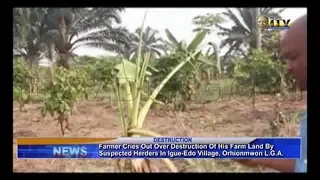 Farmer cries out over destruction of his farmland by suspected herders