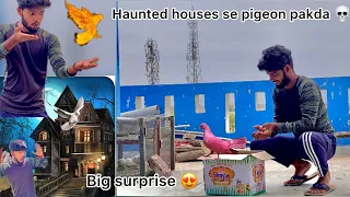 Finally haunted 💀 pigeon catched 😍 !! shrapit🧟‍♂️ kabutar lekar aagya Vicky 😳