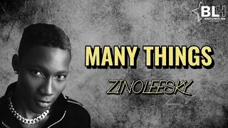 Zinoleesky - Many Things(Lyrics)You don't need no interception you're perfect cos of ur imperfection