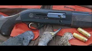 Beretta 391A Shotgun Review