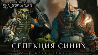Middle-earth: Shadow of War - Селекция Синих Орков в новый Клан.