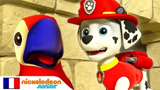 Paw Patrol : La Pat' Patrouille | Le perroquet égaré | Nick Jr.