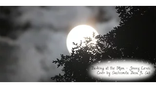 Barking at the Moon (Jenny Lewis) (Guitar Cover) by Suchismita Basu ft. Sab