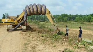 JCB | The Excavator Loading Trucks Scary With Big Snake During New Road Construction The animal