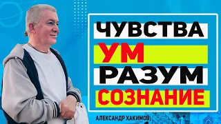 Чувства | Ум | Разум | Сознание. Александр Хакимов