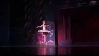 Nutcracker 2013