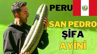 10 Yıldır PERU'da Yaşayan TÜRKLE Şifa Kaktüsü SAN PEDRO İçiyoruz
