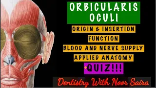 ORBICULARIS OCULI SIMPLIFIED!!!/ORIGIN, INSERTION, FUNCTION, INNERVATION, APPLIED ANATOMY.