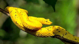 RAINMAKER PARK TOUR | Nature Tours Costa Rica