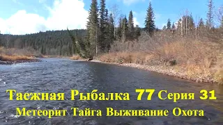 Метеорит Камень Тайги Серия 31 Таежная Рыбалка 77  Выживание Охота Поход Лес Сибирь Медведь Бушкрафт