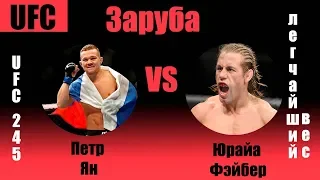 Прогноз на бой Петр Ян vs Юрайа Фэйбер UFC 245 (скоро)