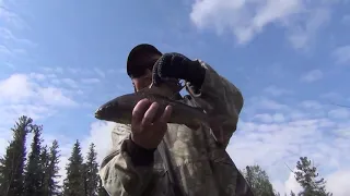 Рыбалка в тайге Сибири Жили 7Дней Позитив Ловля Крупный Хариус Красивые пейзажи тайги 3 Автополомки