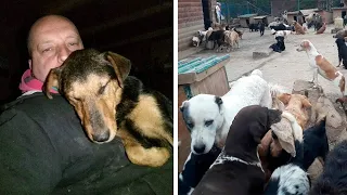 Hombre duerme con cientos de perros en temperaturas bajo cero ✅