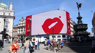 Piccadilly Lights - Describing the Project Management