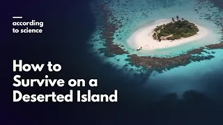 How to Survive Being Stranded on a Deserted Island, According to Science