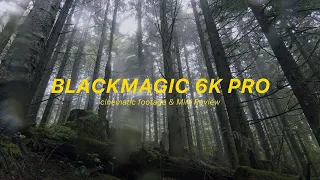 BlackMagic Pocket 6K Pro Cinematic - Mini Review