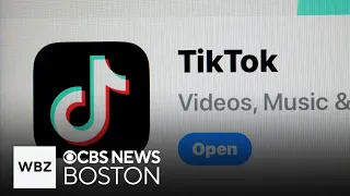 Massachusetts woman says TikTok ban would harm small businesses