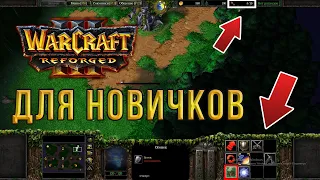 WarCraft 3: Reforged ДЛЯ НОВИЧКОВ - С ЧЕГО НАЧАТЬ?