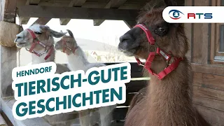 Tiere auf Gut Aiderbichl bekommen eine Stimme