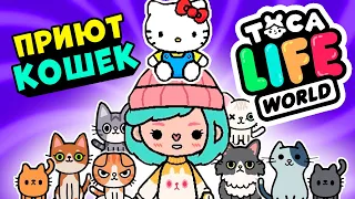 СОЗДАЛА ПРИЮТ для КОТИКОВ в Тока Бока 🐈 ► Toca Life world