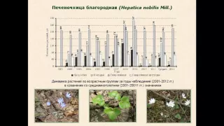 Флора Керженского заповедника