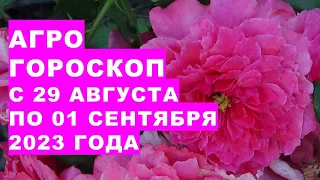 Агрогороскоп з 29 серпня по 01 вересня 2023 року. Agrohoroscope from August 29 to September 01, 2023