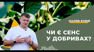 НАЛИВ БОБІВ. ЧИМ І ЯК ПІДЖИВИТИ СОЮ?