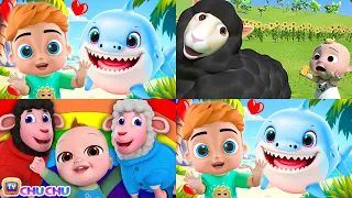 Baa Baa Black Sheep - The Joy of Sharing! Baby Shark| Baby Shark Sing and Dance + LiaChaCha Rhymes