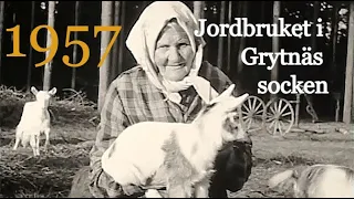 Grytnäs socken. En hembygdsfilm om jordbruket i Sverige - 1957.