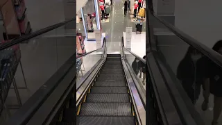 Let’s go down | Escalator #mall #viral #shortspeed