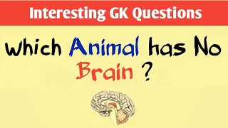 Interesting GK || Interesting GK Questions| GK Questions And Answers