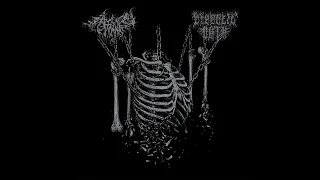 Aberration & Diabolic Oath - Divinations (Split) (2024)