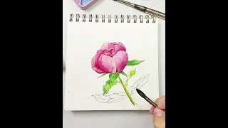 Ловите мини-урок с нежным розовым пионом 🌸🌺🌷