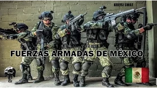 FUERZAS ARMADAS DE MÉXICO | MEXICAN ARMED FORCES