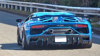 【大黒PA】スーパーカー加速サウンド／ Supercars sound in Japan. Espada, GT2RS, AventadorSVJ, Dino, and more‼️