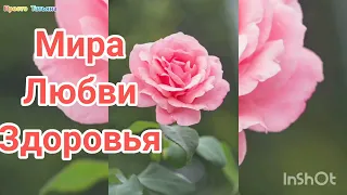 С праздником 8 марта!!