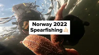 Norway Spearfishing 2022. Норвегия подводная охота 2022