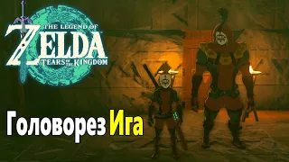 Экзамен клана Ига ➤ Zelda Tears of the Kingdom ➤ Секретные Квесты клана Ига