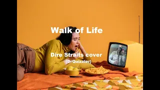 Walk of Life - Dire Straits cover (DrQuizzler)