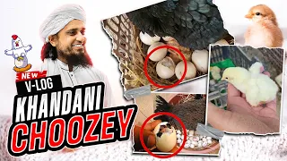 Mufti Tariq Masood With Chicks Vlog