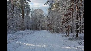 День и ночь роняет сердце ласку