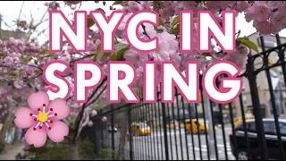 Best Spring and Secret Places NYC