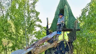 Outdoor SURVIVAL shelter BUILD on old tree 3 day solo |  How to build a survival bushcraft video