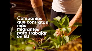 Compañías que contratan más migrantes para trabajar en EU (oficios H-2B)